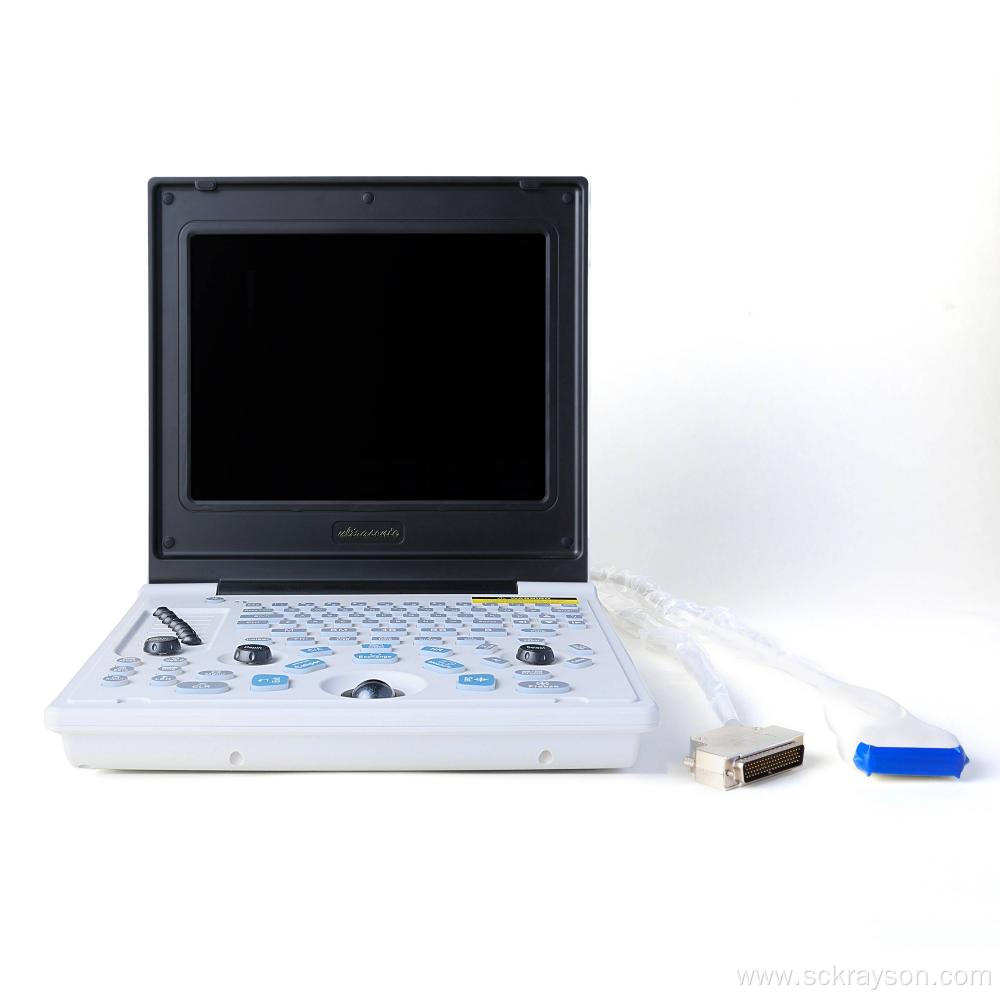 Laptop Ultrasound For Pregnant Ragdoll Cat
