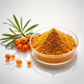 Wholesale freeze dried sea buckthorn powder