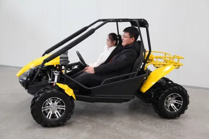 side by side petrol 250cc/150cc quad dune buggy
