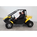 ผู้ใหญ่ 250cc 4x2 go karts 2 ที่นั่ง buggy