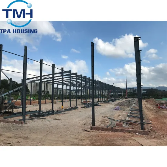 steel structure custom construction design warehouse