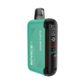 Vapme Spacex 22000 Puffs Disposable Vape Poland Wholesale