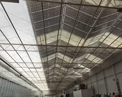 Photovoltaic Glass Power Generating Greenhouse