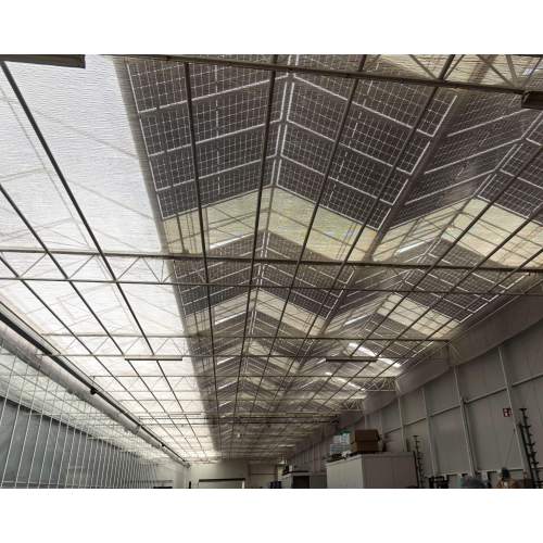 Photovoltaic Glass Power Generating Greenhouse