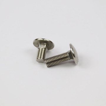 Corrosion Resistant Carriage Bolt in Stainless Steel