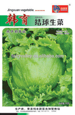 Iceberg Lettuce Seeds For Cultivation-Han Bred Iceberg Lettuce