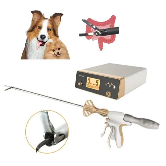 Trade and Features of Reusable Veterinary Ultrasonic Scalpels and Generators in Surgery