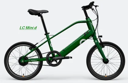 Customized Smart E Bike