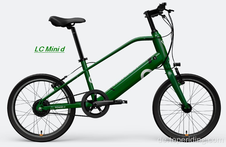 Customized Smart E Bike