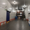 Cold storage insulated rapid rolling door