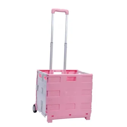 Wholesale Folding Shopping Cart Trolleys: Two-Wheeled Grocery Carts for Supermarkets