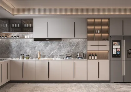 Kitchen and bathroom porcelain integrated countertop