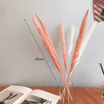 Natural Small Pampas Grass Dried Flowers Phragmites Artificial Plants Wedding Flower Bunch For Home Decor Fake Flowers Bulrush