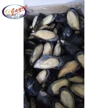 Product made in China frozen health best mussels half shell products