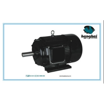3HP motor Y100