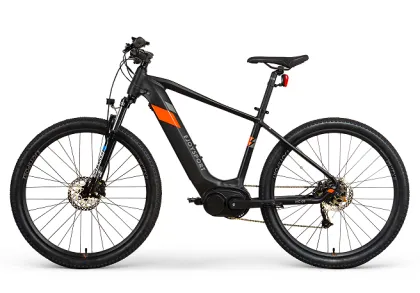 Customized all mountain haibike