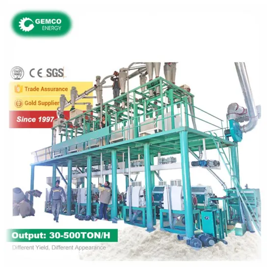 100 Ton Per Day Rich Mile Flour Mill Production Line in Canada