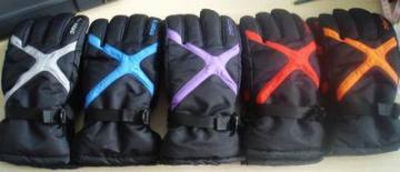 Fashion Anti-Slip Warm Ski Gloves (JSG-15013)