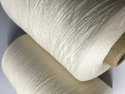 Foaming TPEE for spinning