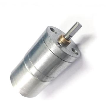 Motor redutor de engrenagem 25GA310