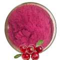 100% Natural Cranberry Juice Extract Powder