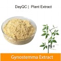 Natural Gynostemma Pentaphyllum Extract