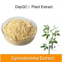 Extrato natural de Gynostemma Pentaphyllum