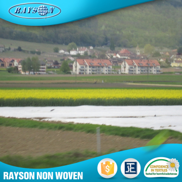Promotion Product Agriculture Ground Cover Pp Spunbond Non Woven Cloth