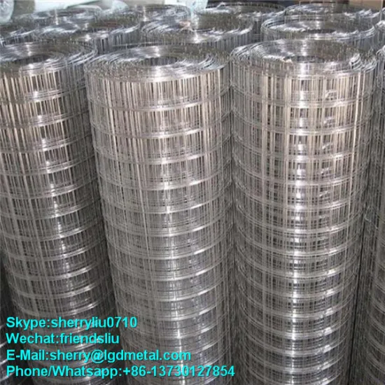welded wire mesh aviary mesh,high strength galvanized mine welded wire mesh----WMSL013