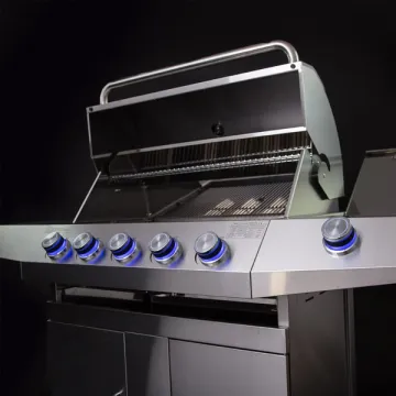 Free Standing Electric Grill