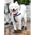 Botas de perro zapatos de mascotas de silicona reutilizables