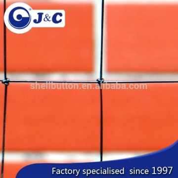 custom size anti pigeon protection netting use for building , anti Bird protection net,PE agricultural bird netting