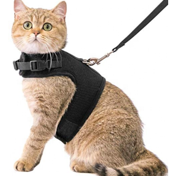 Pet Cat Harness ρυθμιζόμενη με το λουρί