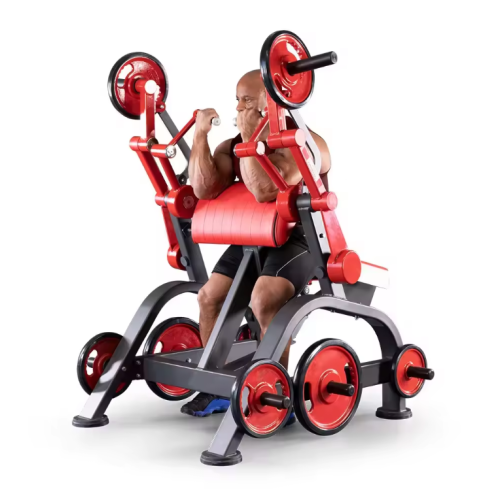 Biceps Curl For Bodybuilding Exercise arms Work biceps