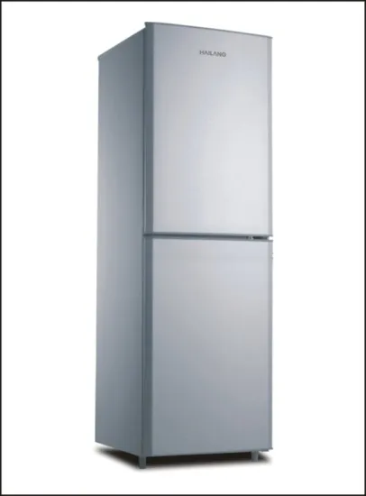 189L Double Door Bottom Freezer Refrigerator