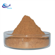 Natural echinacea purpurea extract/ echinacea extract powder