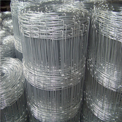 Galvanized Wire Mesh Field Fence for Deer/Cattle