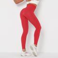 Sportswear Exercise Workout Tights