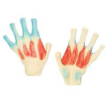 /msite/products/detail/productid/63604698/id/1517769.html