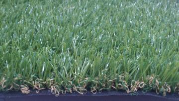 Artificial Turf & Grass & Landscaping & Decorative (GNCDQ-4-25)