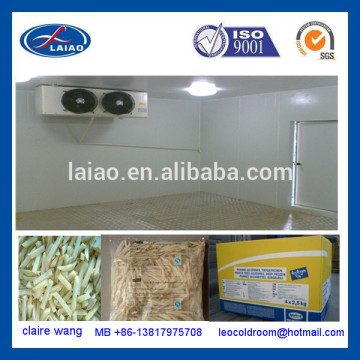 French Fries deep freezer line blast freezer