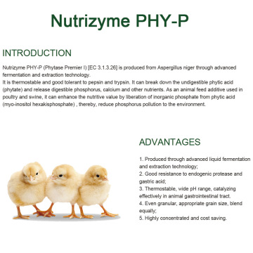 Phytase tahan termostable dan protease untuk suapan