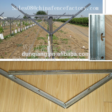 Agriculture plantation Y shaped glavanized metal vineyard trellis