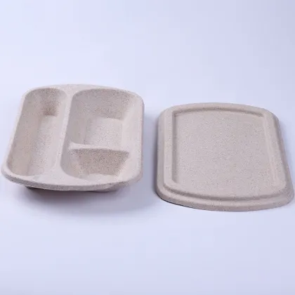 Disposable Molded Pulp Packaging Box Food Lunch Box