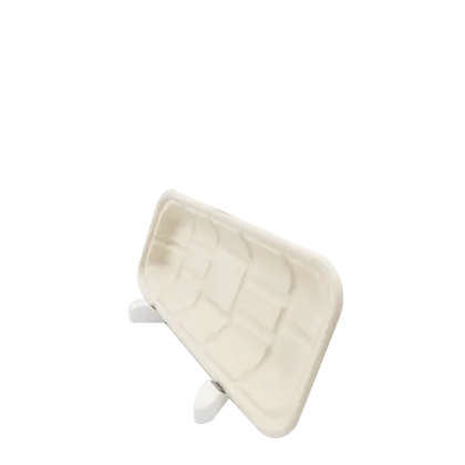 Ok Compost Sugarcane Pulp Biodegradable Food Tray