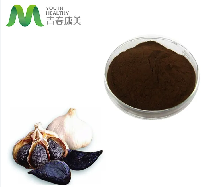 Fermented Black Garlic Extract 10:1 20:1