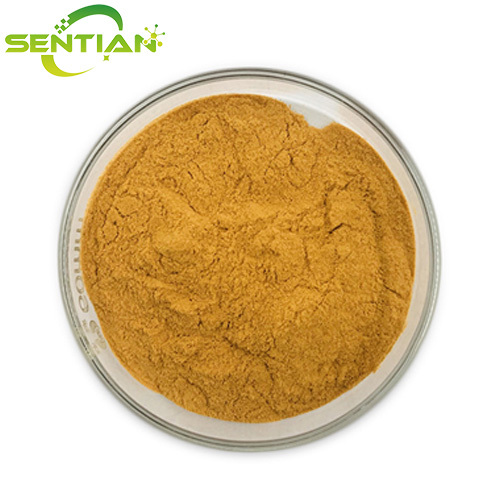 High Quality Jujube Extract for Wellness
