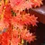 fake handing plant china manufacture hand make artificial handing vine