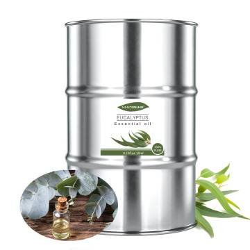 O óleo essencial de eucalipto natural 100% puro