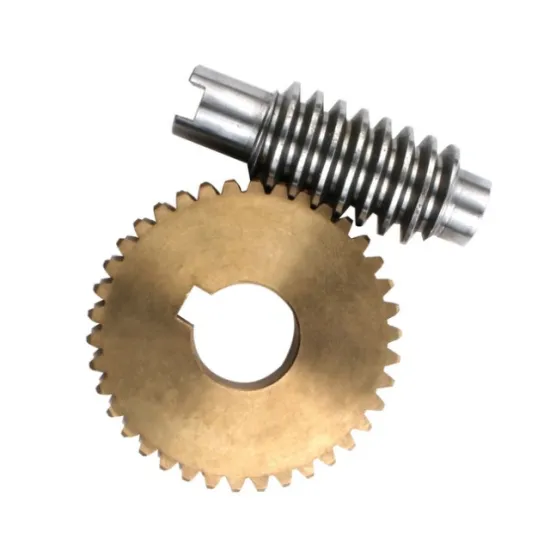 Custom precision cnc machined plastic motor worm gear, nylon stepper motor worm gear